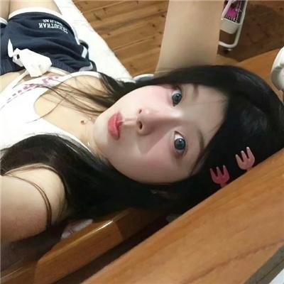 企鹅:极地追踪
